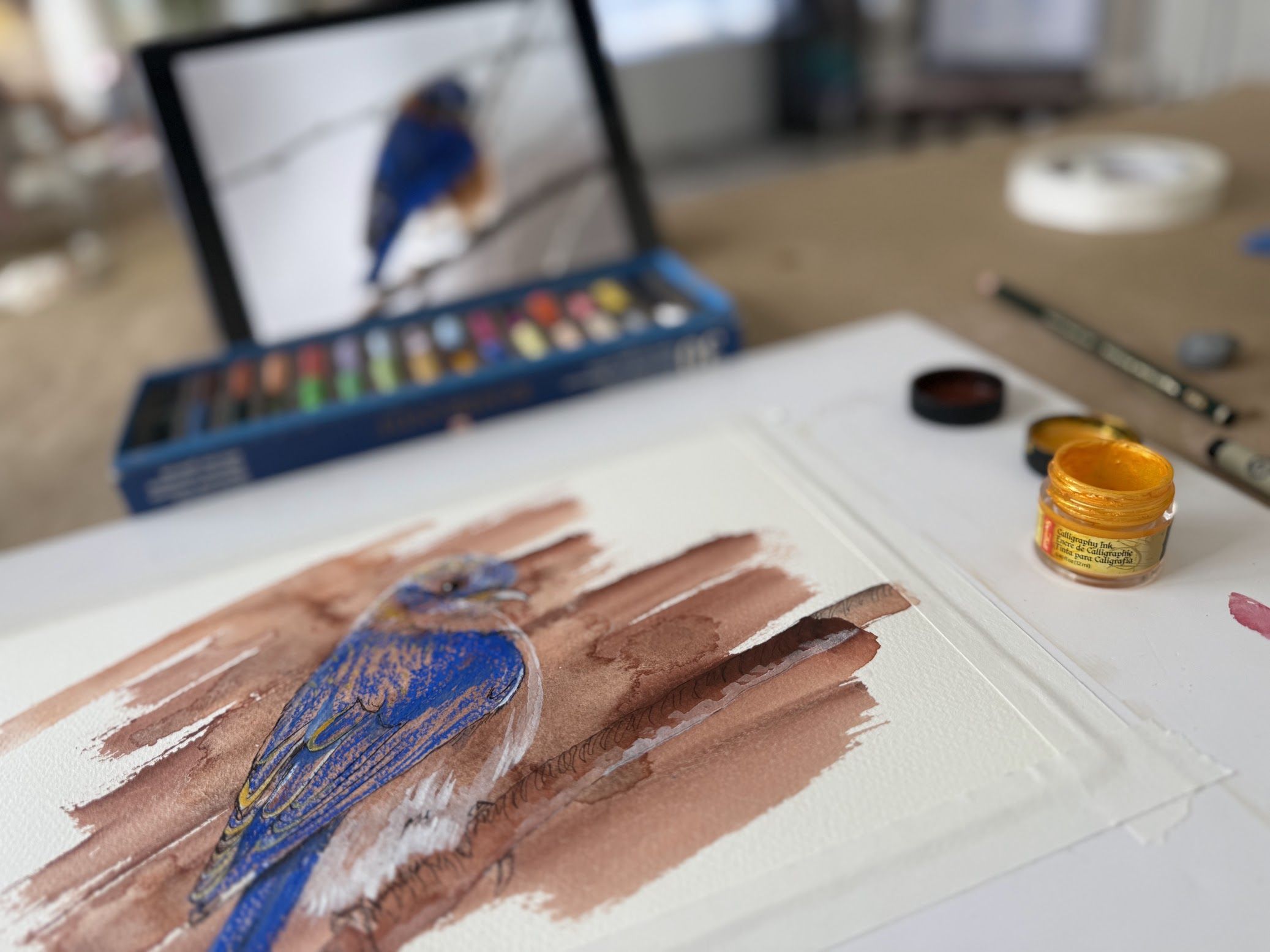 birds