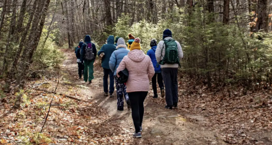 forest bathing